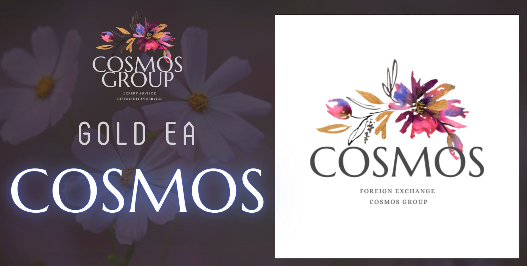 GOLD EA COSMOS週報