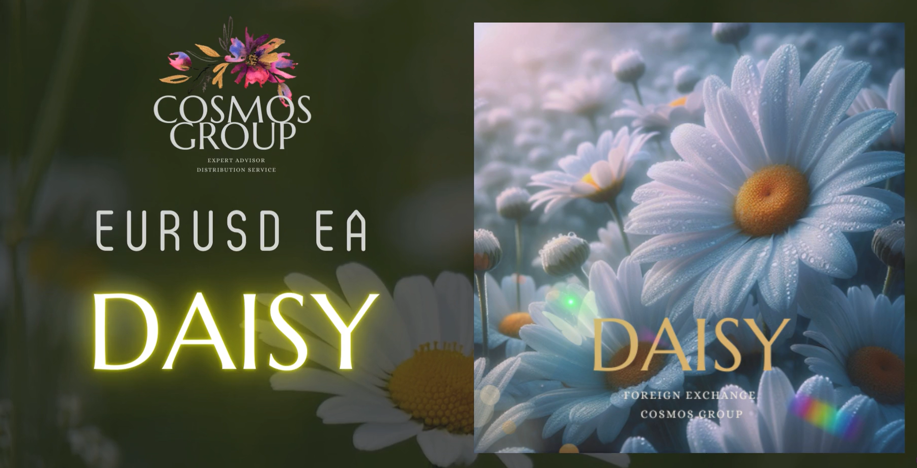 DAISY（EURUSD M15）週間レポート：2025-11-02〜2025-11-08